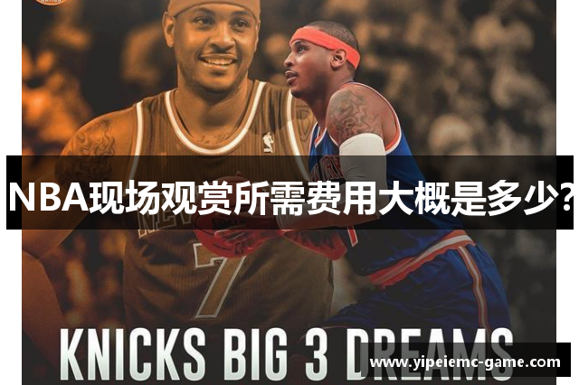 NBA现场观赏所需费用大概是多少？