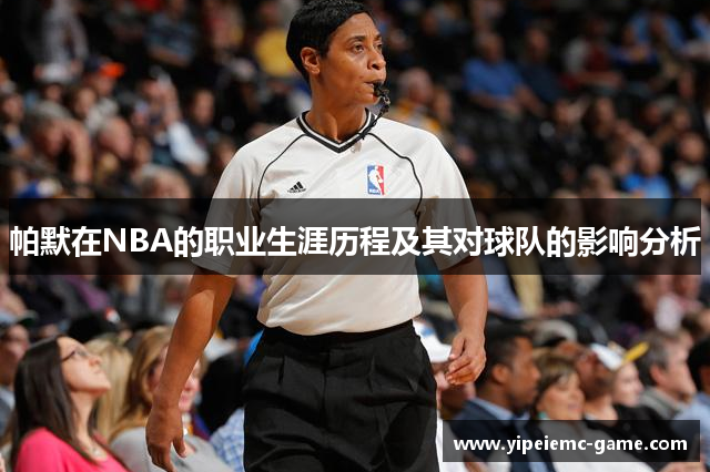 帕默在NBA的职业生涯历程及其对球队的影响分析