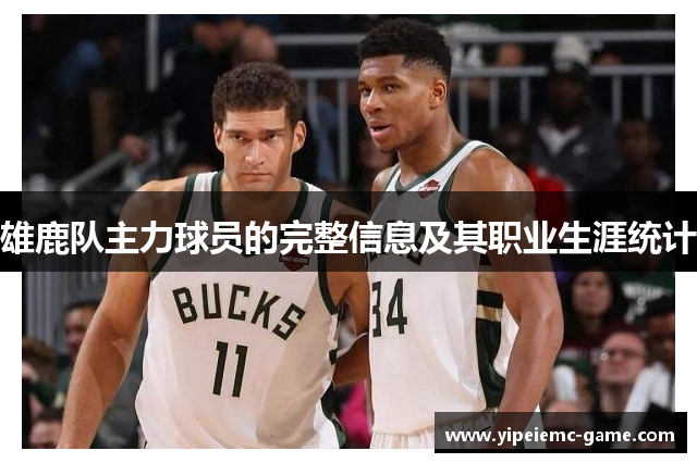 雄鹿队主力球员的完整信息及其职业生涯统计