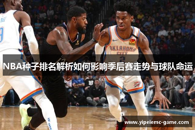 NBA种子排名解析如何影响季后赛走势与球队命运