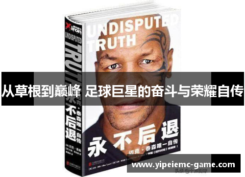 从草根到巅峰 足球巨星的奋斗与荣耀自传