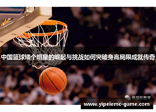 中国篮球矮个明星的崛起与挑战如何突破身高局限成就传奇